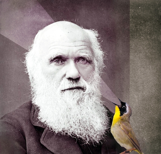Illustration based on Charles Darwin portrait