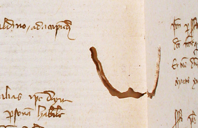 Damaged codex