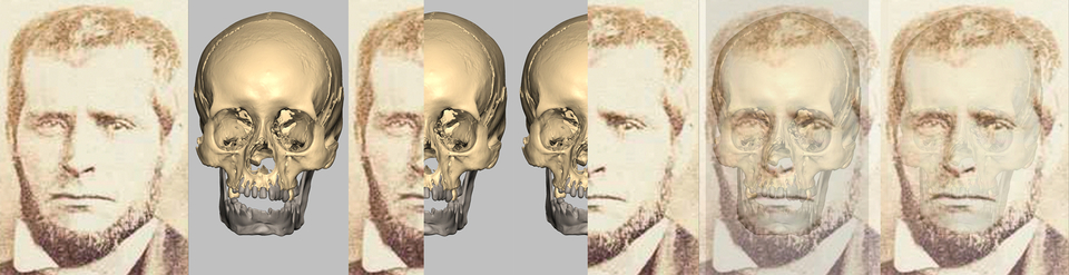 C & A Scientific Premiere 51020 Real Skull Comparison 