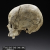 The skull of “Rojos”