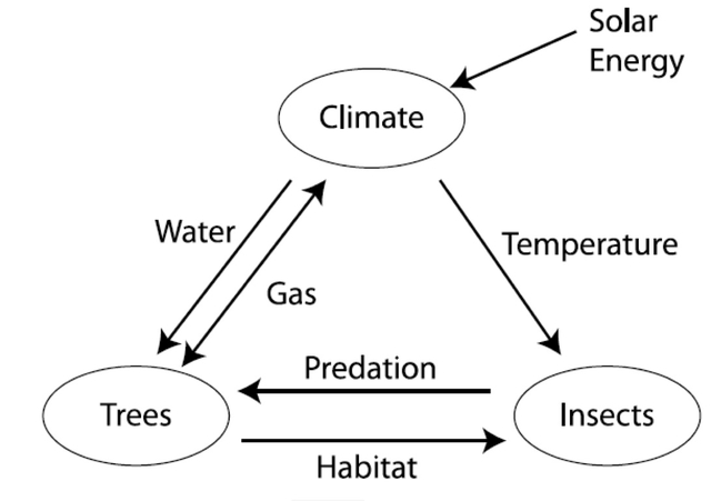 feedback loop