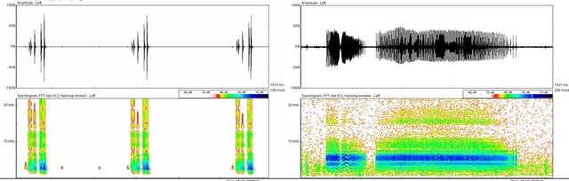 sonograms