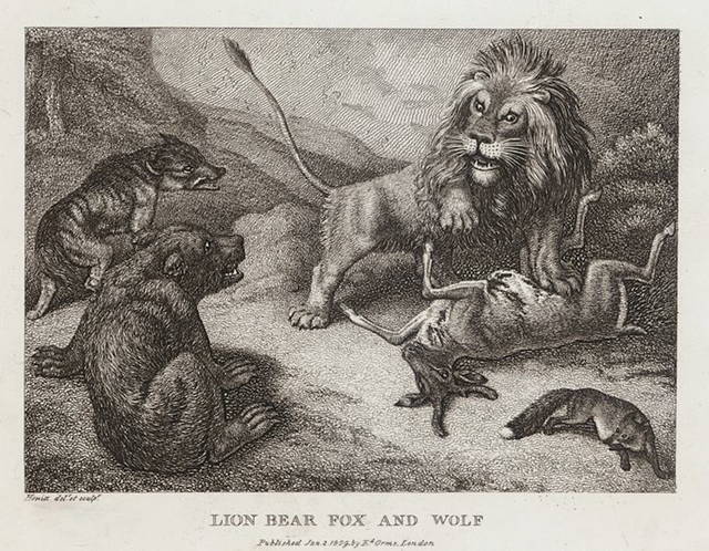 Lion, Bear, Fox and Wolf
