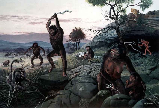 Australopithecus at Home