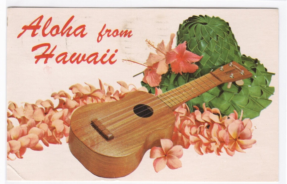 hawaii music instrument